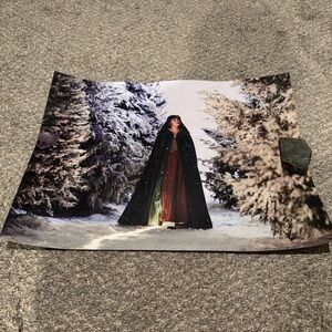 Taylor Swift Wildest Winter Lithograph